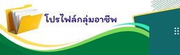 โปรไฟล์กลุ่มอาชีพ