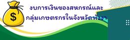 งบการเงินของสหกรณ์และกลุ่มเกษตรกรในจังหวัดพังงา