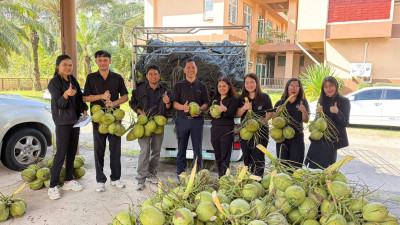 “ ร่วมกระจายผลผลิตมะพร้าวน้ำหอมจากจังหวัดสมุทรสงคราม “ พารามิเตอร์รูปภาพ 1