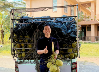 “ ร่วมกระจายผลผลิตมะพร้าวน้ำหอมจากจังหวัดสมุทรสงคราม “ พารามิเตอร์รูปภาพ 1