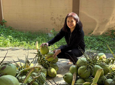“ ร่วมกระจายผลผลิตมะพร้าวน้ำหอมจากจังหวัดสมุทรสงคราม “ พารามิเตอร์รูปภาพ 3