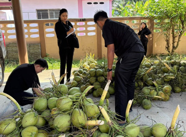 “ ร่วมกระจายผลผลิตมะพร้าวน้ำหอมจากจังหวัดสมุทรสงคราม “ พารามิเตอร์รูปภาพ 5