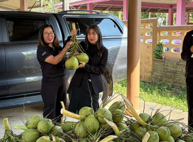 “ ร่วมกระจายผลผลิตมะพร้าวน้ำหอมจากจังหวัดสมุทรสงคราม “ พารามิเตอร์รูปภาพ 6